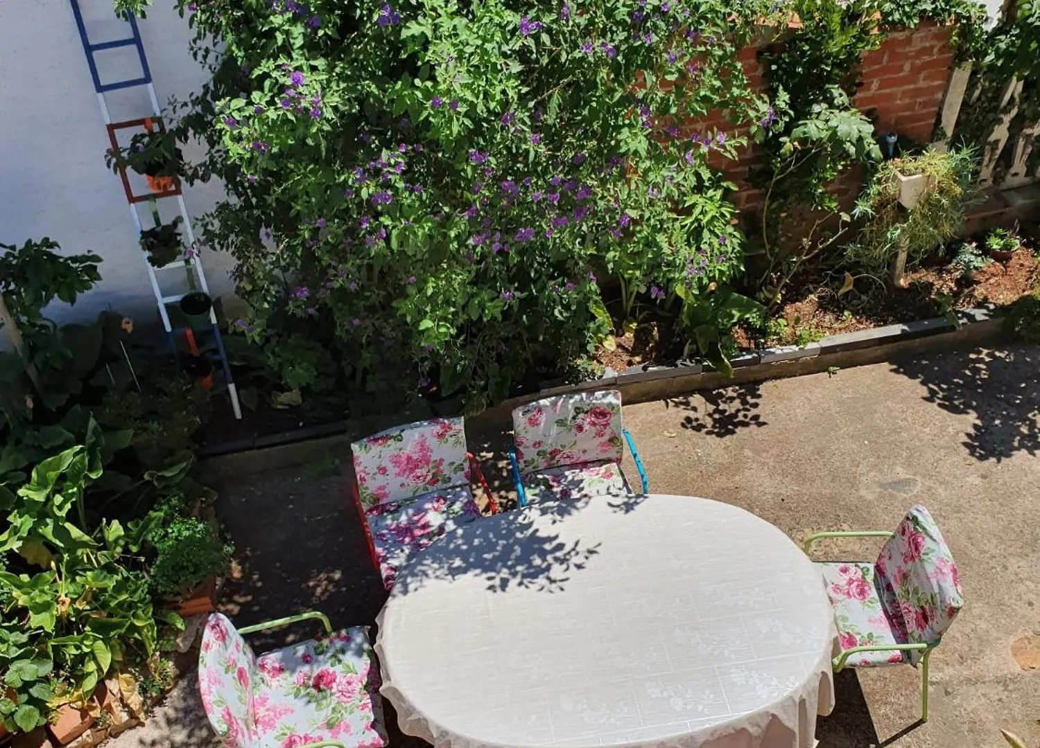 Kuca Odmah Do Plaze Apartment Zadar Croatia